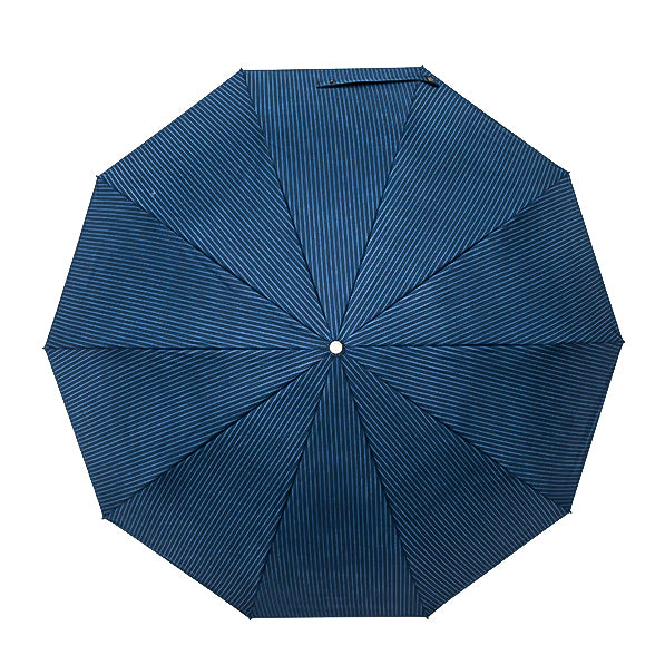 Blau gestreifter, faltbarer, winddichter Regenschirm